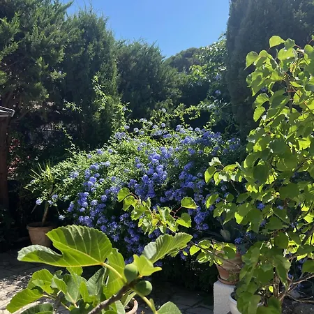 Appartement Superbe Avec Terrasse Jardin Et Parking Prive